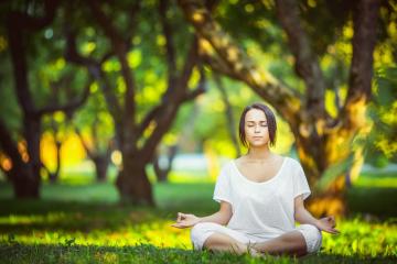 开云体育APP下载-（三个备选，风格不同）