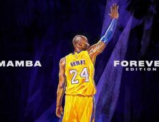 开云体育app-穆雷的关键制胜，法网险胜与戴维斯杯的辉煌时刻