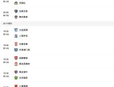 开云下载-北京中赫国安击败上海绿地申花，升至积分榜前列