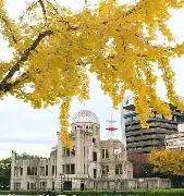 开云体育APP下载-广岛三箭客场逆转胜墅太雷士，晋级强