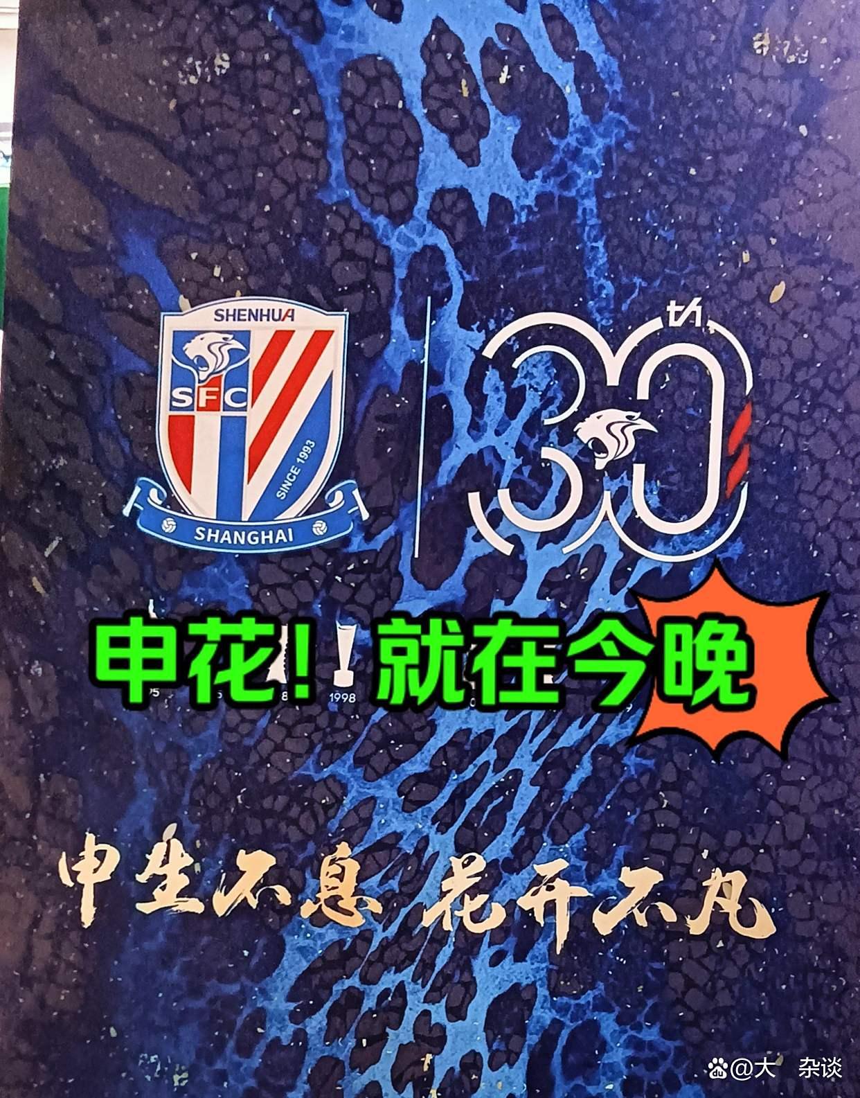 开云下载-上海申花逆袭：申花队逆转战胜对手的简单介绍