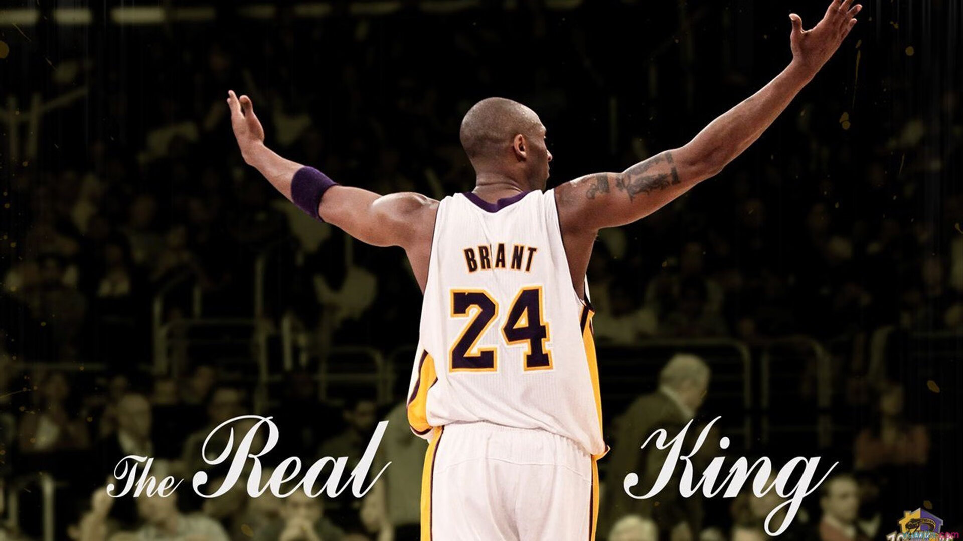 开云体育APP下载-虫洞边缘的跳投，当塔图姆成为撕裂时空的关键先生