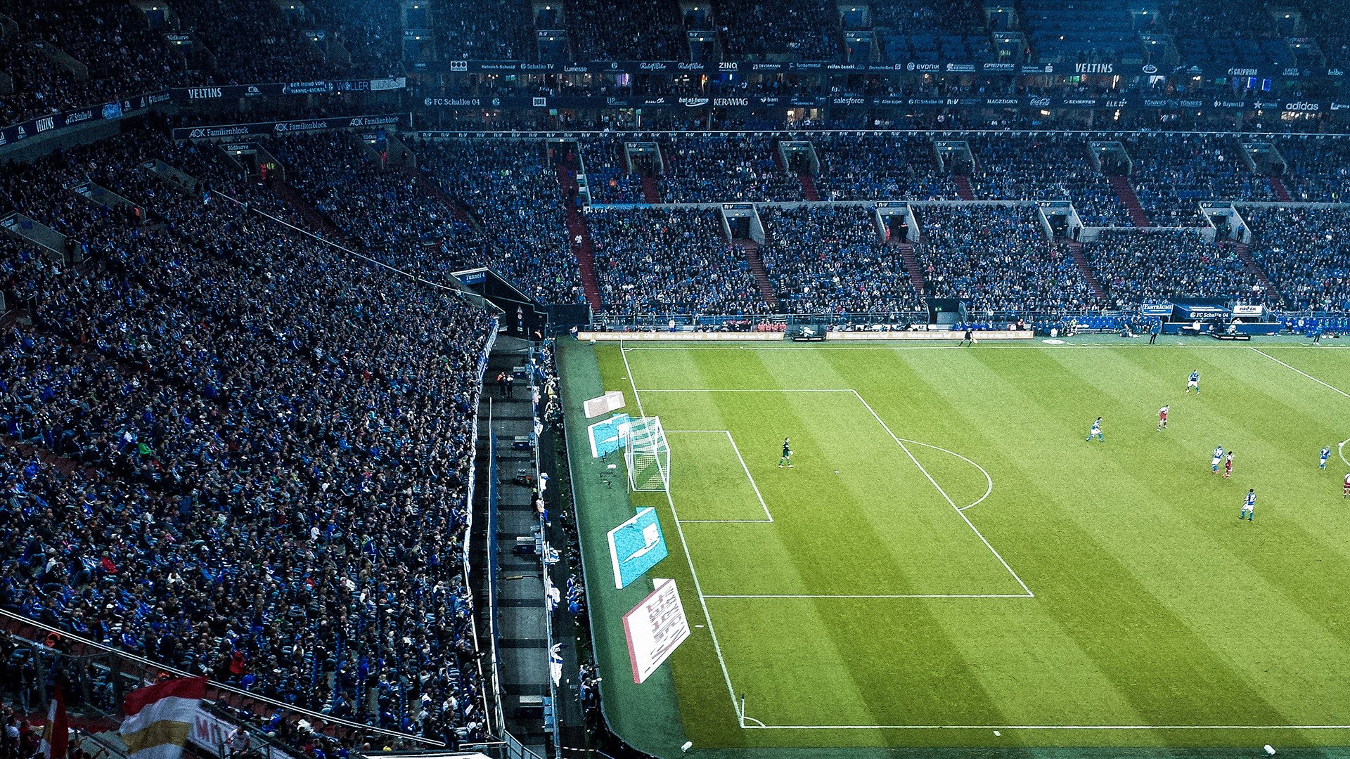 开云体育APP下载-竞技场两端，竞相绽放的险胜之花